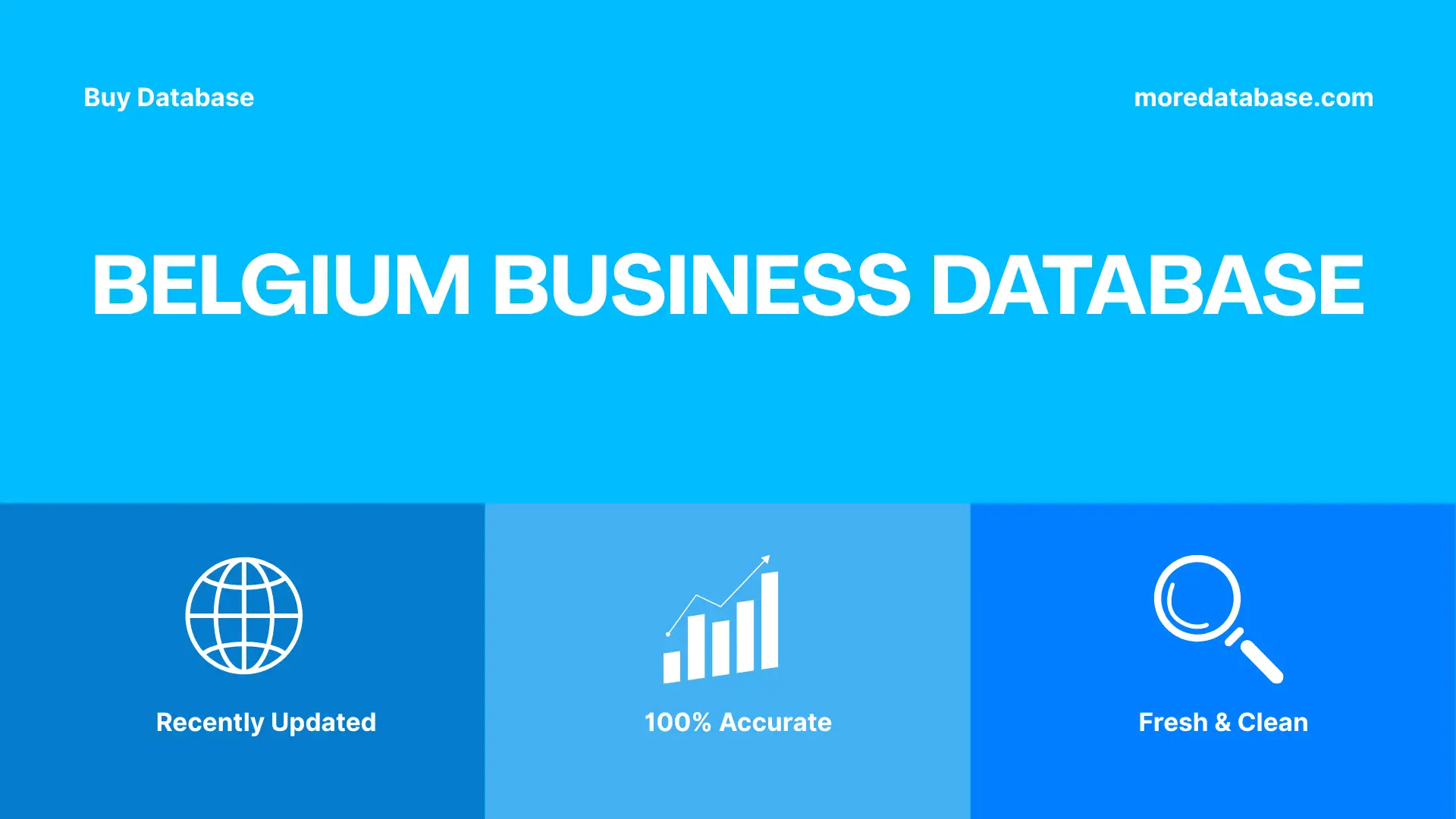Belgium Business Database